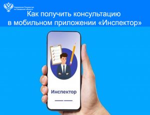 19_Инспектор