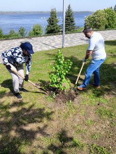 26_Роща Росреестра3