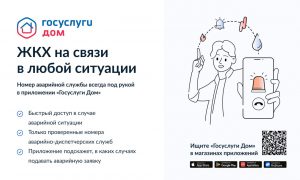 5321053520549507036
