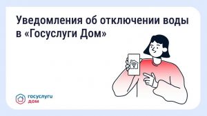 DPZFUN~1