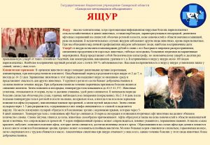 ЯЩУР памятка(1)