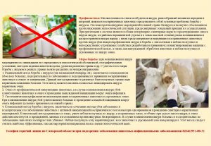 ЯЩУР памятка(2)