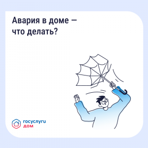 пост_24.11_обложка